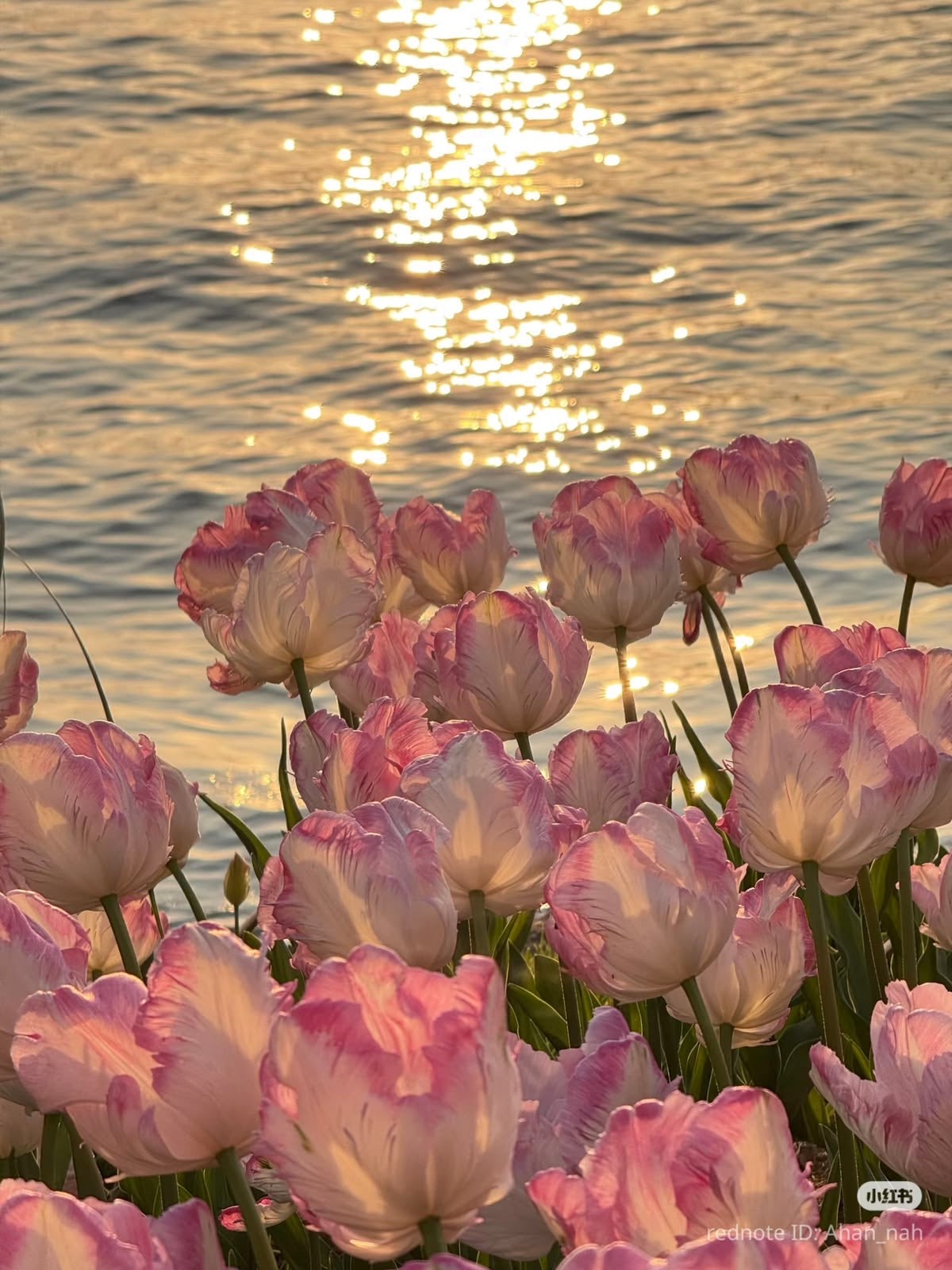 Spring Kollektion
